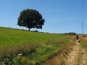 Beausaint (La Roche-en-Ardenne, België)